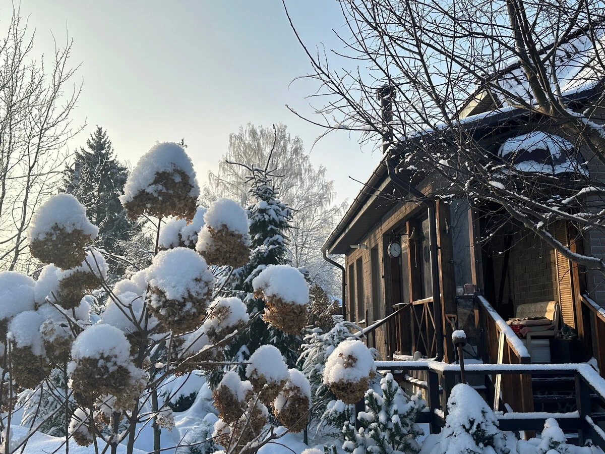 Уход за садом На ошибках учимся или как с наименьшими потерями создать сад мечты ч2