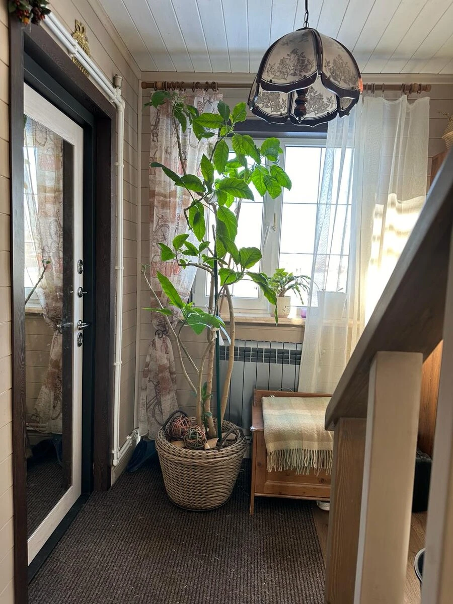 О грунтах, которые мы выбираем для посадки растений