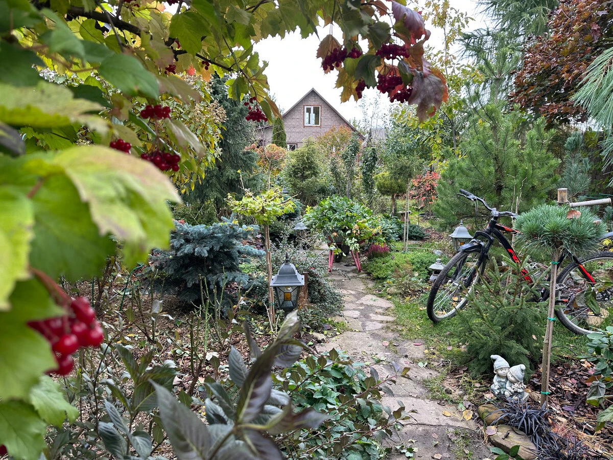 На ошибках учимся или как с наименьшими потерями создать сад мечты