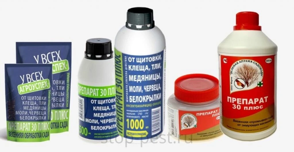 Первая обработка сада от зимующих вредителей