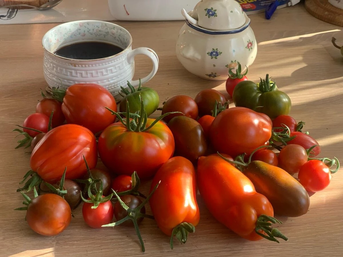 Помогаем растениям давать вкусный урожай