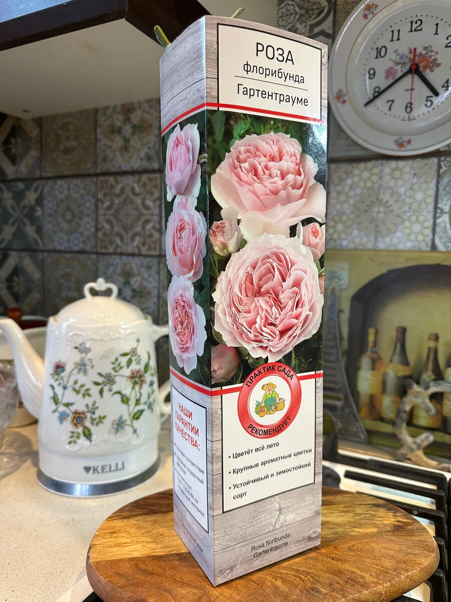 Вы купили розу в коробке. Как ее сохранить до посадки в саду.