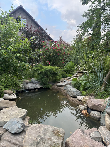 рукотворный прудик на участке 6 соток