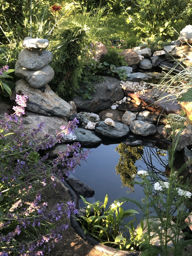 совсем маленький прудик в камнях