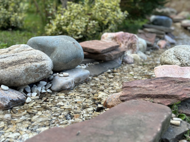 каменистое русло ручья