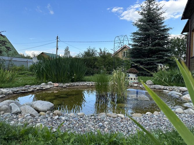 пруд вместо газона