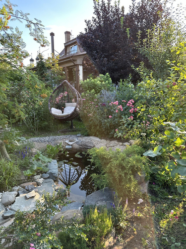 уединенное место на берегу прудика