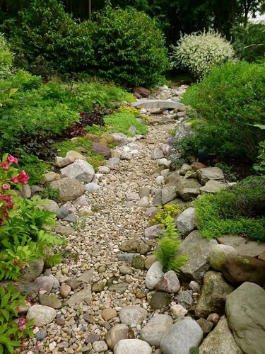 сухой ручей