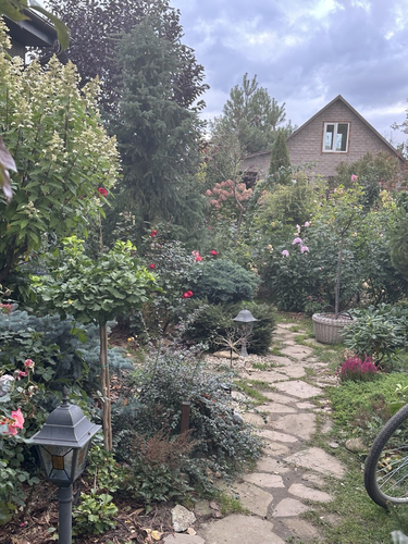 сад в природном стиле на 6и сотках