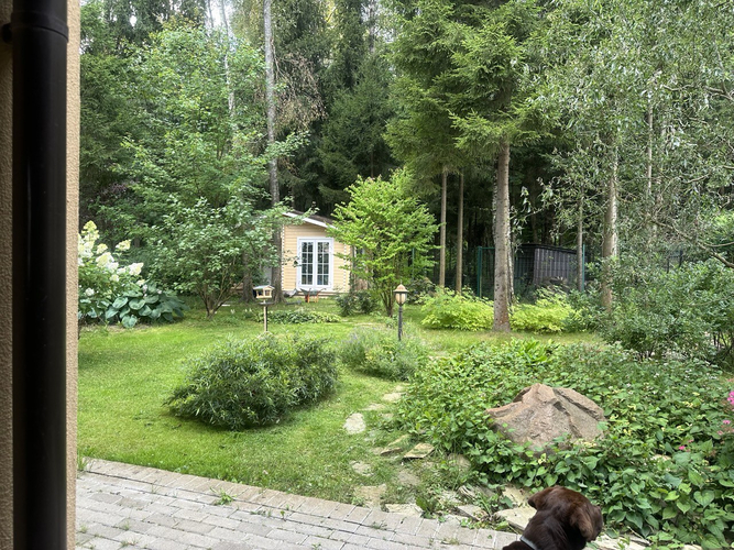 сад на лесном участке