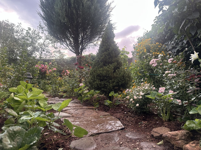 садовые дорожки из галтованного песчаника