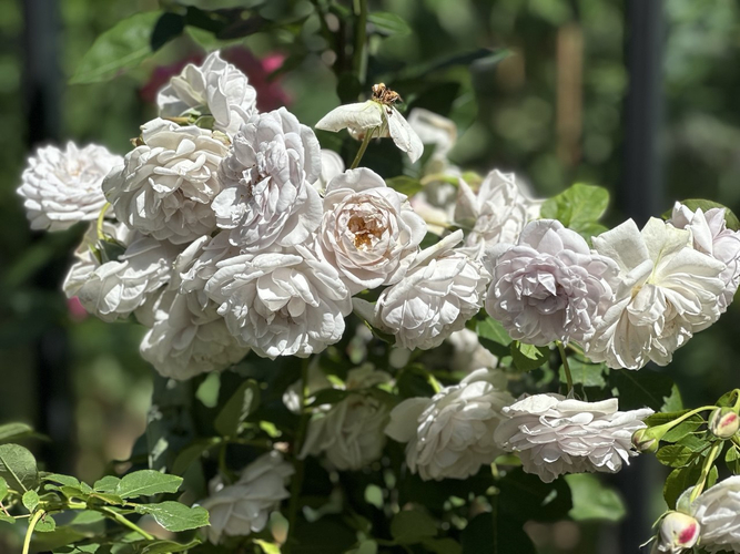 photo_2026-02-26_23-28-05 (4)