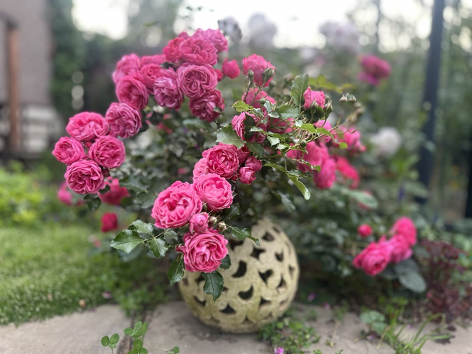 photo_2026-02-26_23-25-19