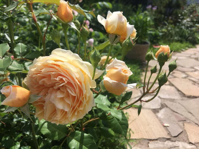 photo_2026-02-26_23-25-18 (4)