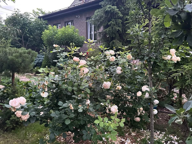 photo_2026-02-26_23-25-20 (4)