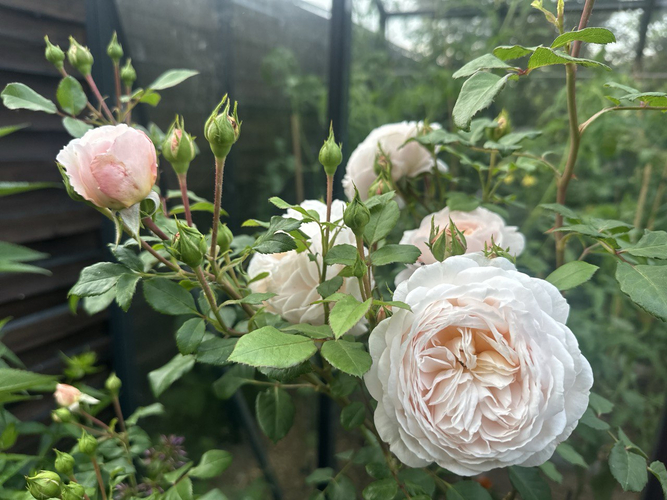 photo_2026-02-26_23-25-19 (3)