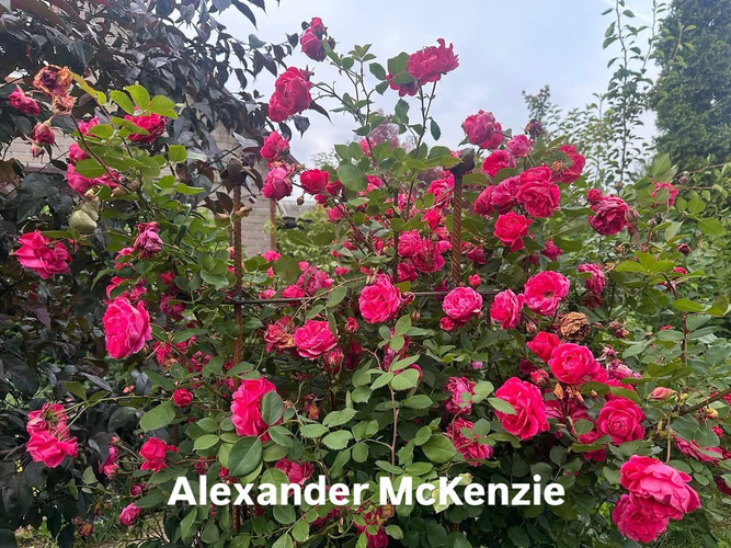 photo_2026-02-26_23-25-20 (3)