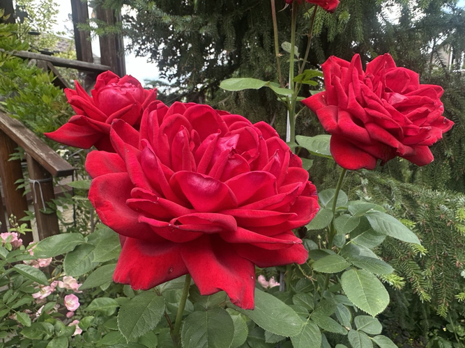 photo_2026-02-26_23-25-20