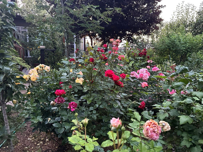 photo_2026-02-26_23-25-21