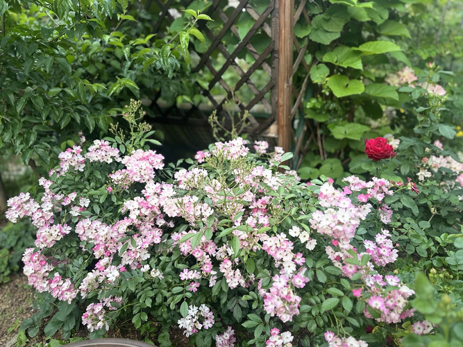 photo_2026-02-26_23-25-20 (2)