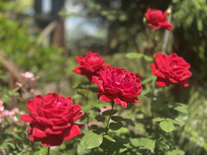 photo_2026-02-26_23-25-18